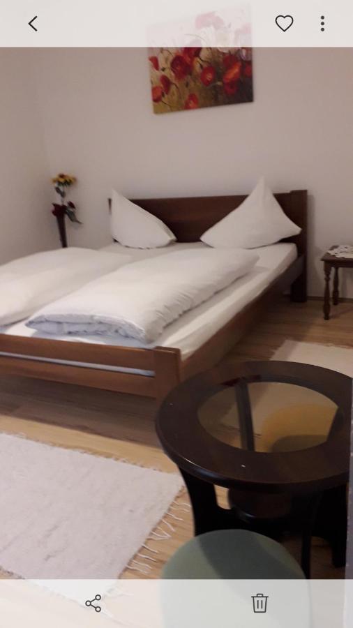 Apartman Milica Pozarevac Bagian luar foto