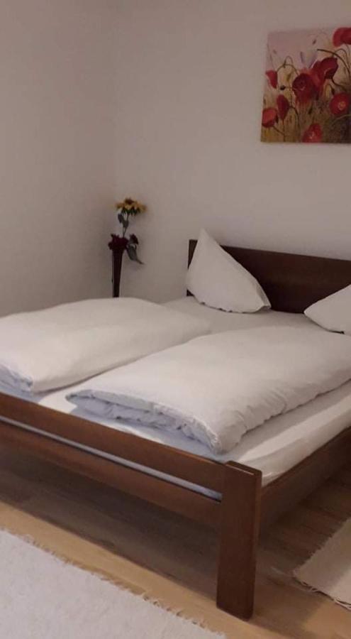 Apartman Milica Pozarevac Bagian luar foto