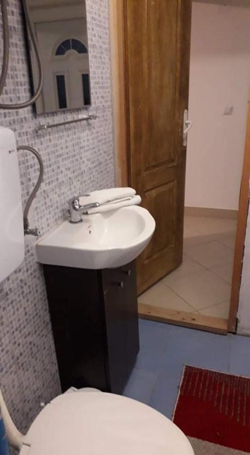 Apartman Milica Pozarevac Bagian luar foto