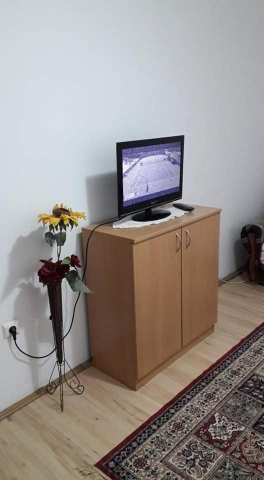 Apartman Milica Pozarevac Bagian luar foto