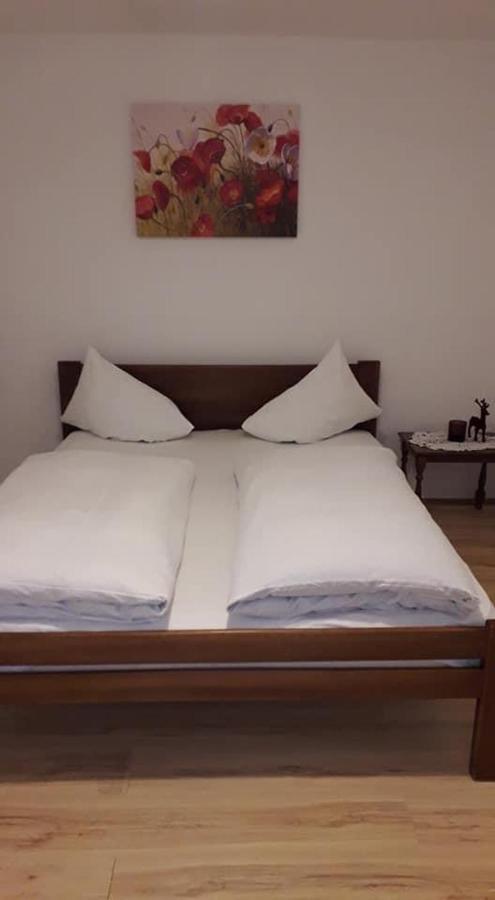 Apartman Milica Pozarevac Bagian luar foto