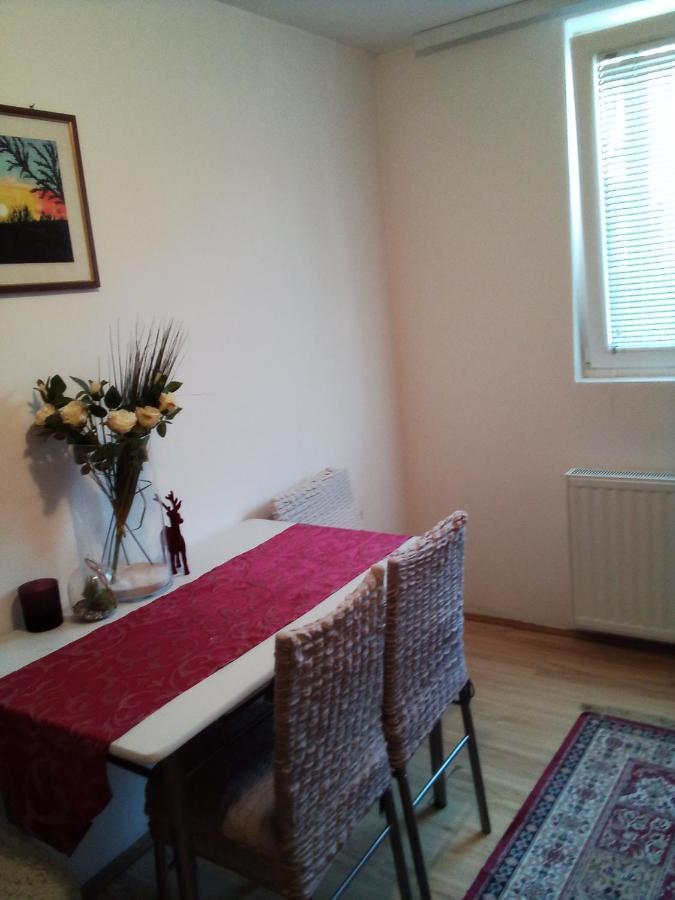 Apartman Milica Pozarevac Bagian luar foto