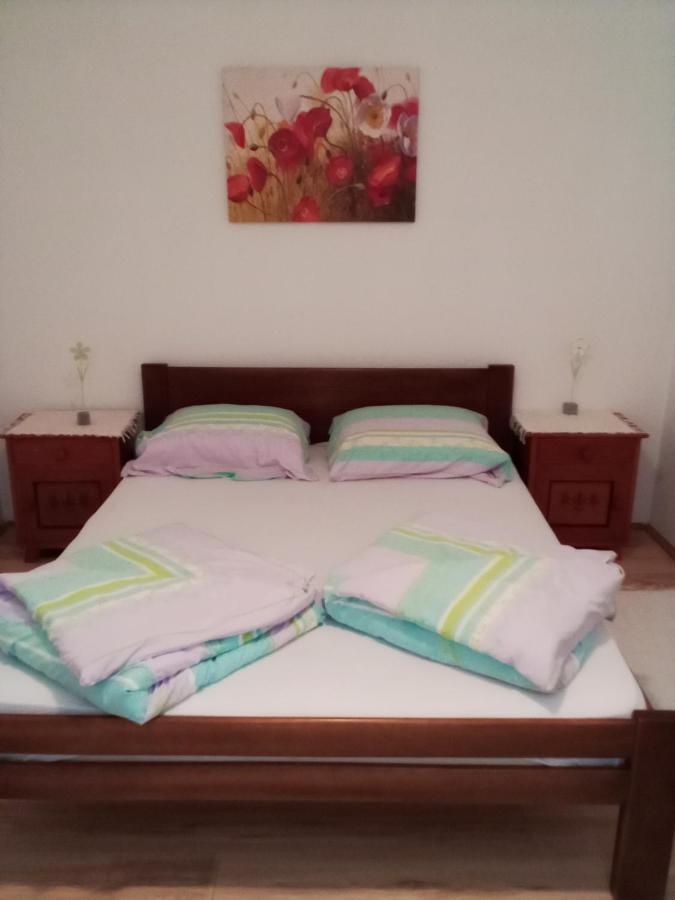 Apartman Milica Pozarevac Bagian luar foto