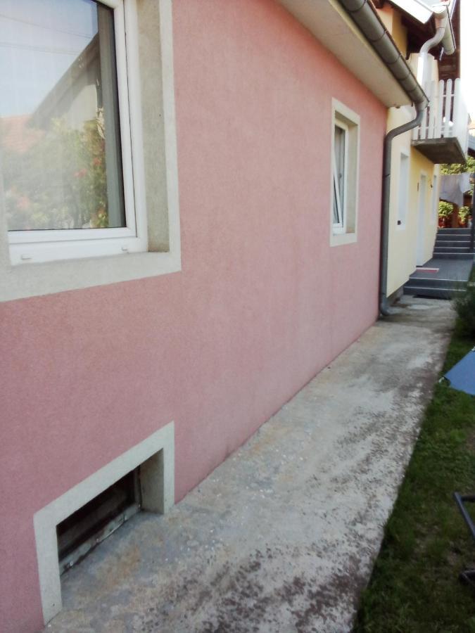 Apartman Milica Pozarevac Bagian luar foto