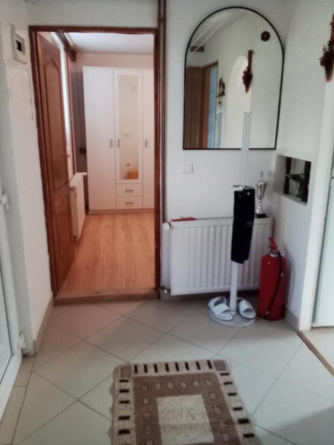 Apartman Milica Pozarevac Bagian luar foto