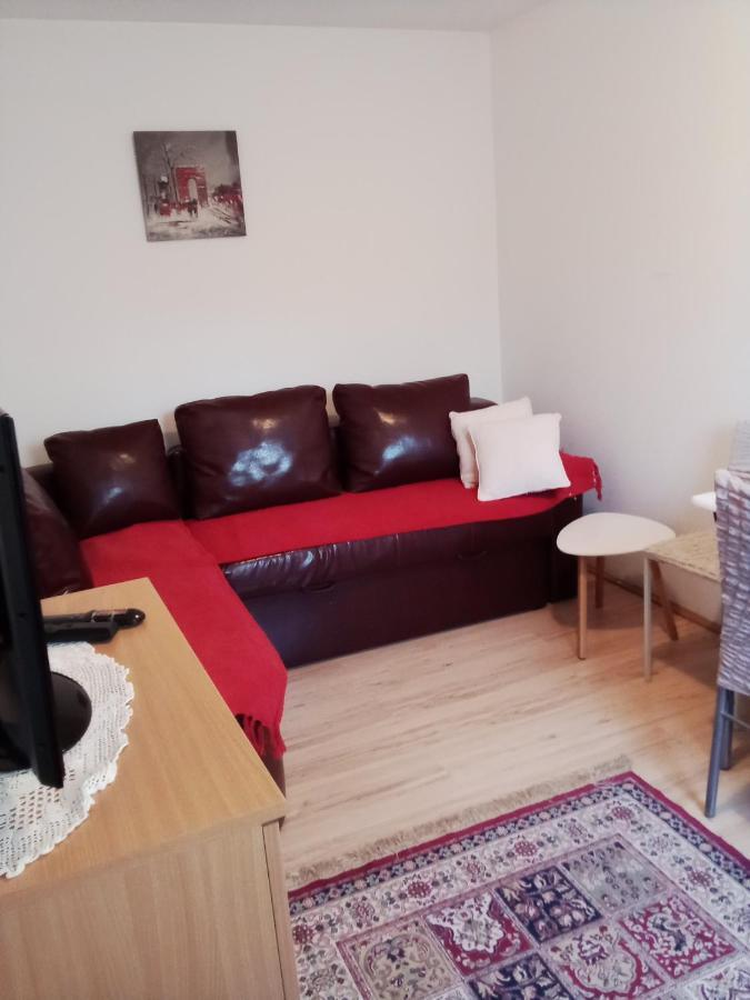 Apartman Milica Pozarevac Bagian luar foto